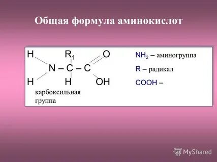 Молекулярная масса спирта
