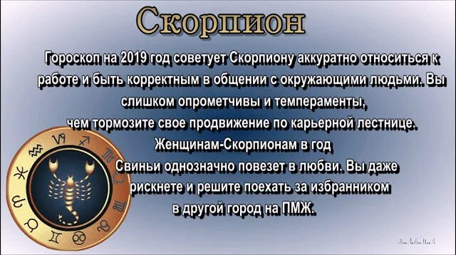 Гороскоп на год 2024 скорпион женщина точный. Год скорпиона. Гороскоп "Скорпион". Гороскоп на завтра Скорпион. Гороскоп на сегодня Скорпион.