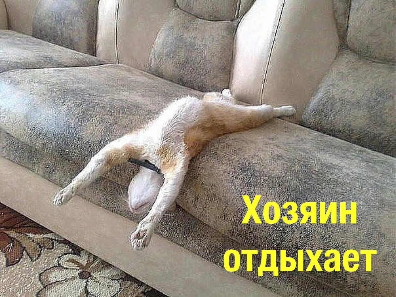 В субботу я отдыхаю