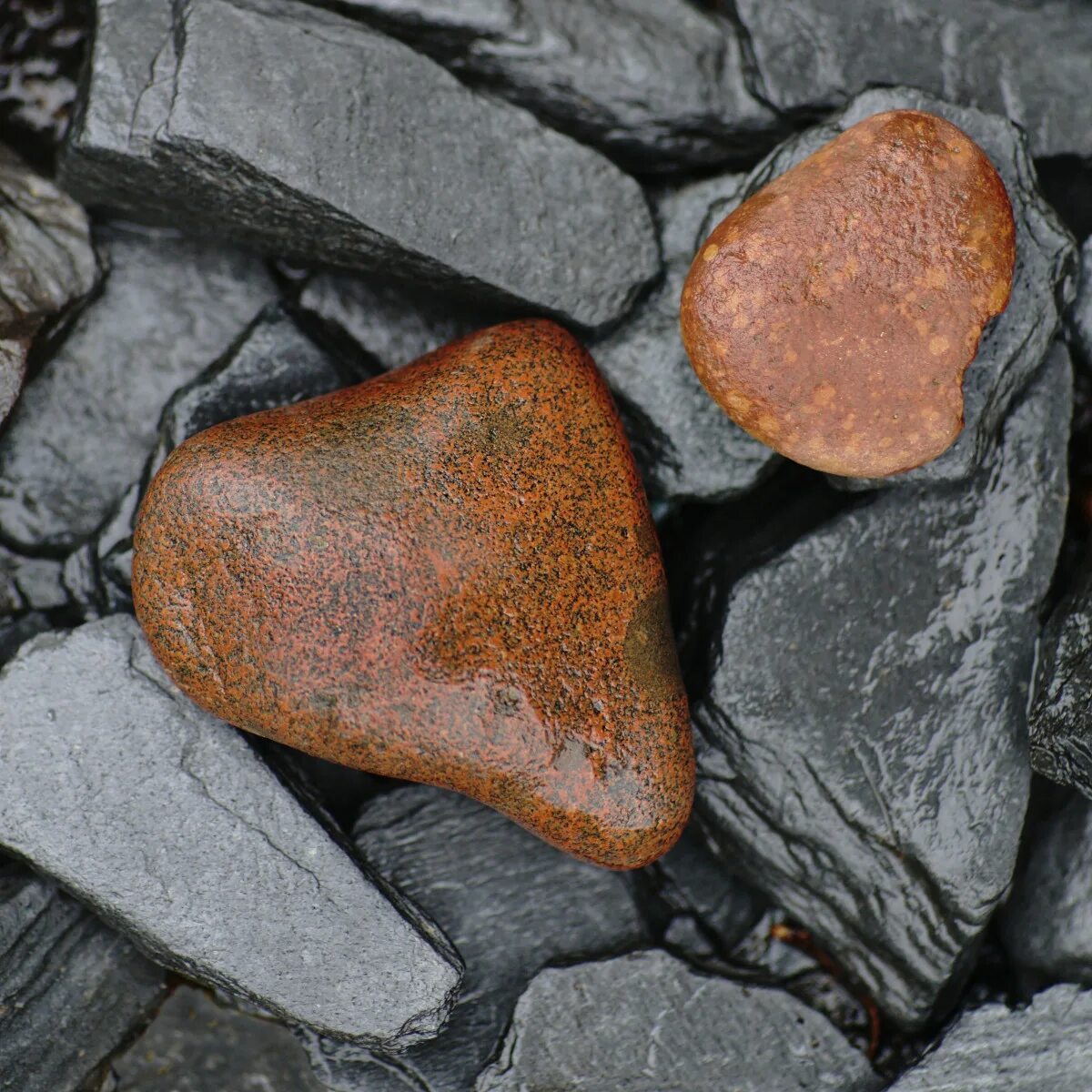 Включи камень 9. Камень сердце Судак. Dolomite macro.