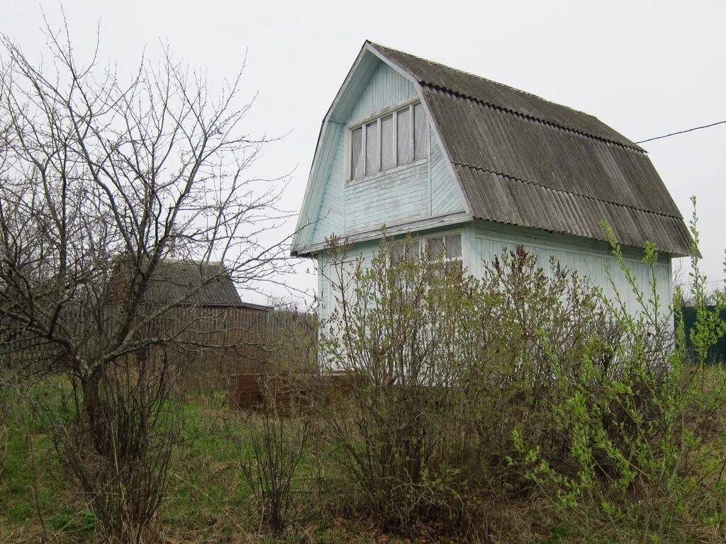 снт присады пущино. скб биоприбор пущино. фото участка земли. садовое товарищество опыт пущино. биоприбор пущино.