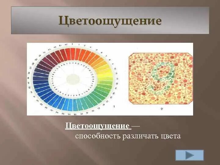 Механизм цветоощущения. Цветоощущение физиология. Цветовое зрение. Теории цветоощущения.. Способность глаз различать цвета. Способен различать цвета