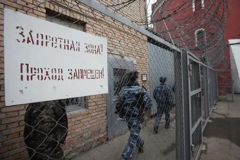 Сизо новый год