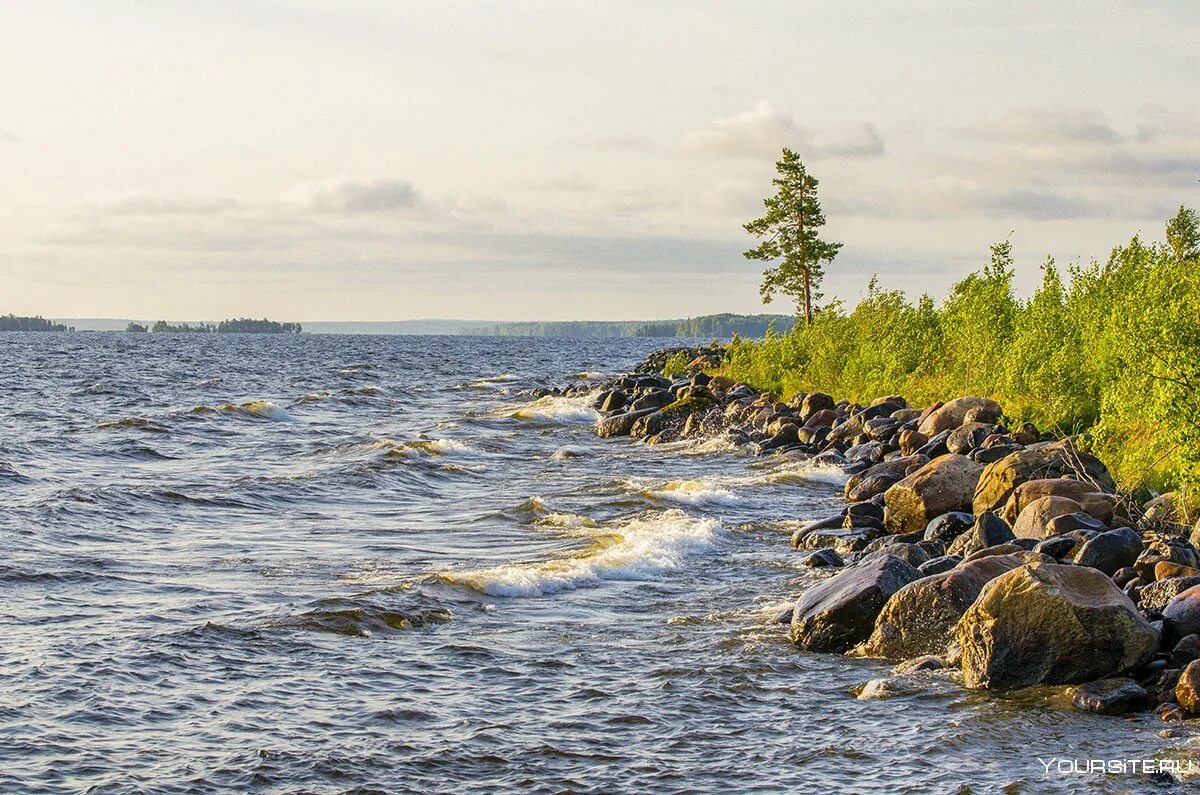 Водами онеги. Озеро Онего Карелия. Онежское озеро Петрозаводск Карелия. Онега Онежское озеро. Берег Онежского озера, Карелия.