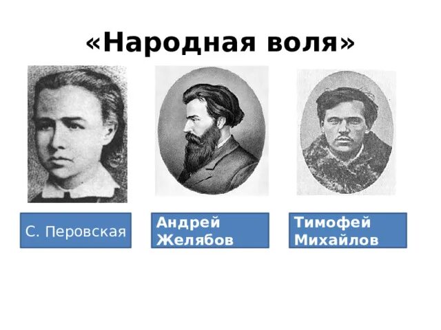 Народная воля суть