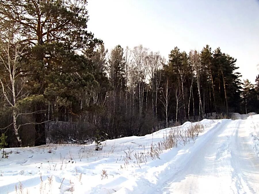 Прогноз погода курья. Курья Алтайский край. Церковь Курья Алтайский край. Село Курья Алтайский край фото. Курье 8.