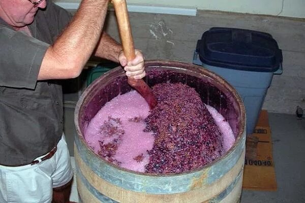 10 килограмм винограда. Мезга Виноградная. Мезга вино. Ферментация винограда для вина. Брожение вина на мезге.
