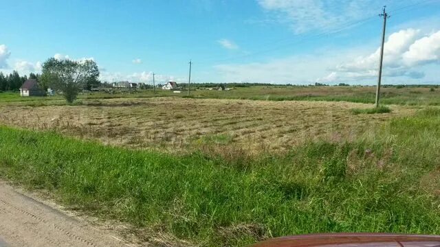 Погода в относово. Деревня относово смоленской. Погода в относово. Погода в относово. Вязьма относово зоопарк.