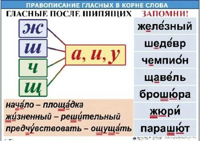 Орфографические слова с шипящими