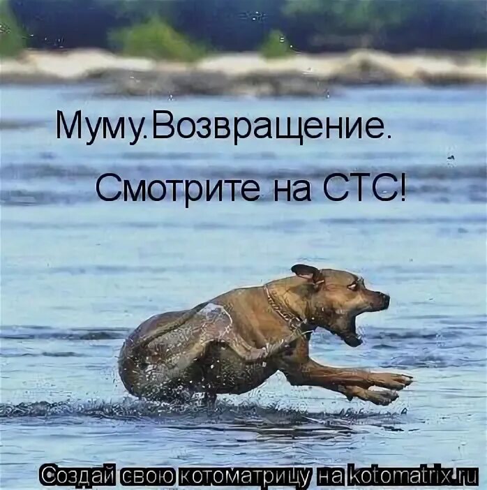 Муму 2 возмездие. Фильм му-му 2 Возмездие. Муму Возвращение. Книга му му 2. Муму 2 Возвращение