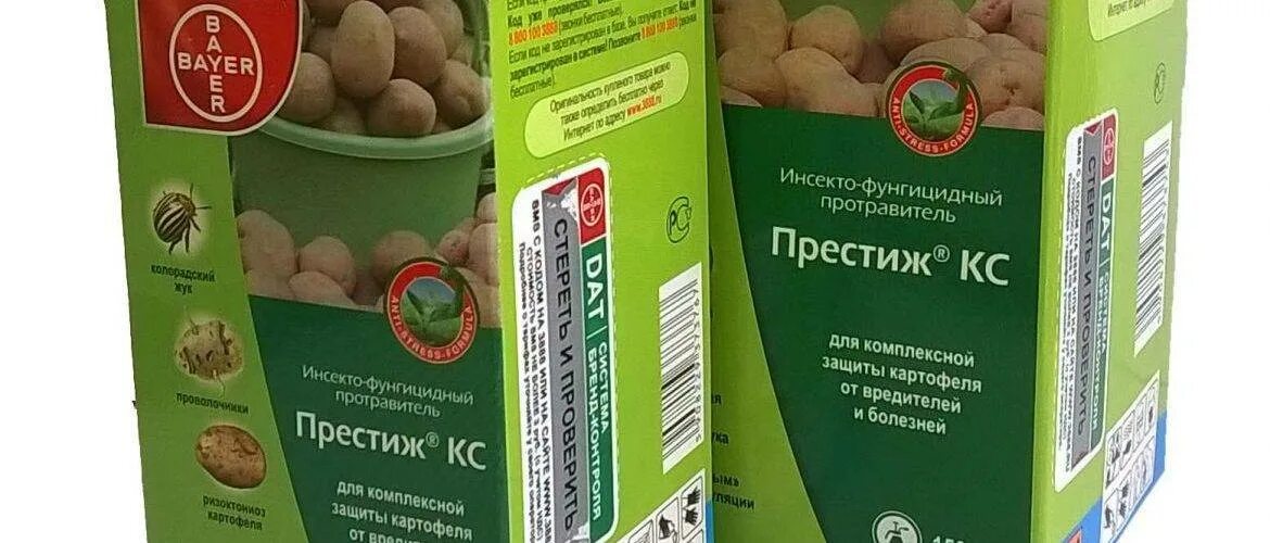 Средство для обработки клубней картофеля перед посадкой. Протравитель для картофеля от колорадского жука. Препарат от колорадского жука Престиж. Престиж от колорадского жука 60мл.. Престиж для обработки клубней картофеля.