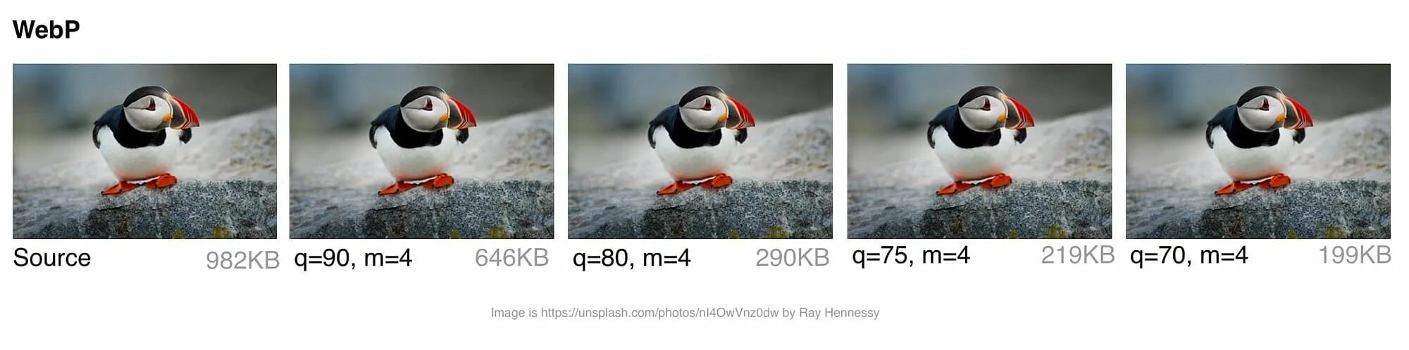 Webp file. Изображение в формате webp. фото webp. картинка с расширением webp. webp изображение пример.