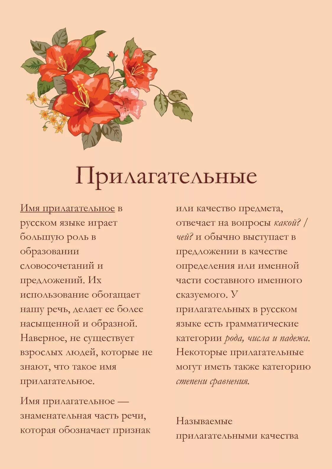 Какой мужчина прилагательные комплименты мужчине. Прилагательные комплименты. прилагательные для девушки комплименты. красивые прилагательные комплименты. прилагательные для девочки комплименты.