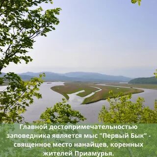 Всероссийский день заповедников и парков