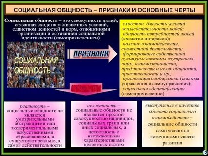 Как определяет ученый социальную общность