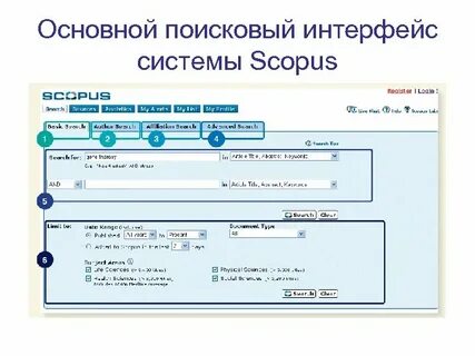 Интерфейс поиска