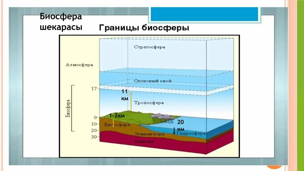 В чем заключается главная функция биосферы