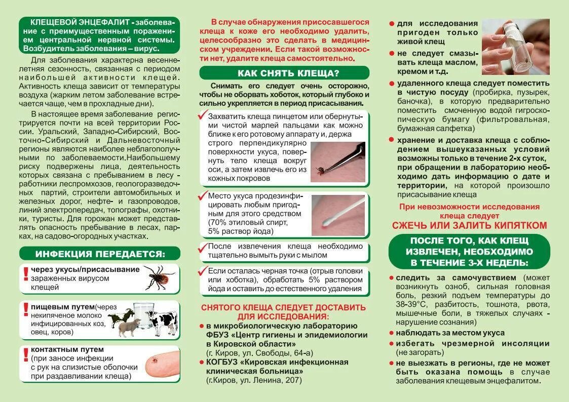 Как хранить клеща