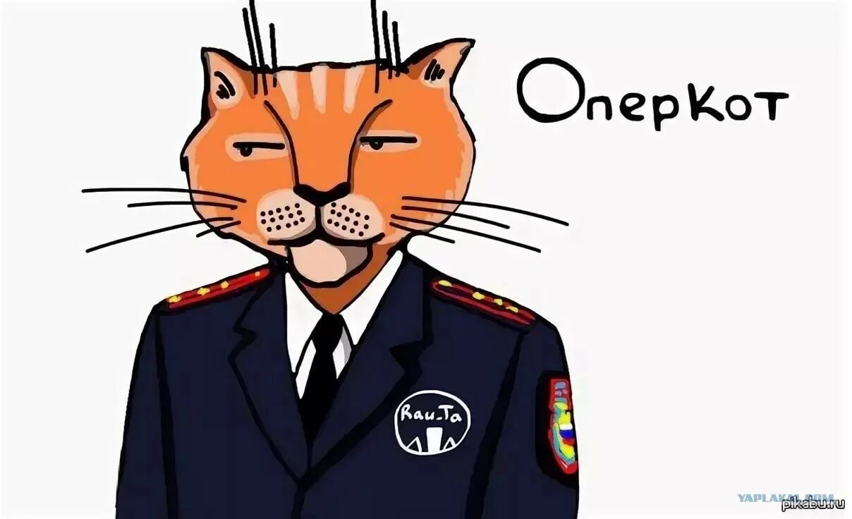 Кот милиционер. Кот полиция. Коты в полицейской форме. Кот в форме полиции. Коп и кот