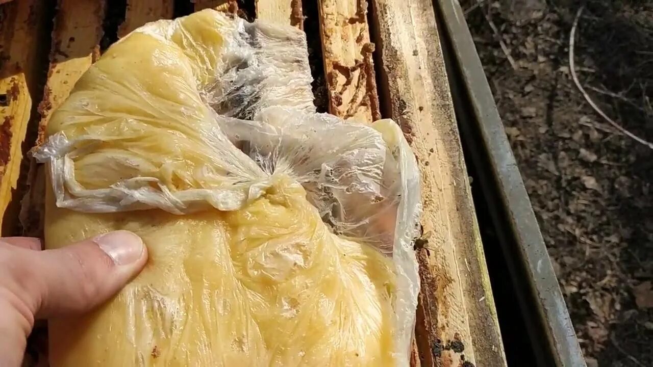 Подкормка медом зимой. Подкормка канди для пчел весной. подкормка пчел зимой канди. весенняя подкормка пчел сиропом. весенняя подкормка пчел канди.