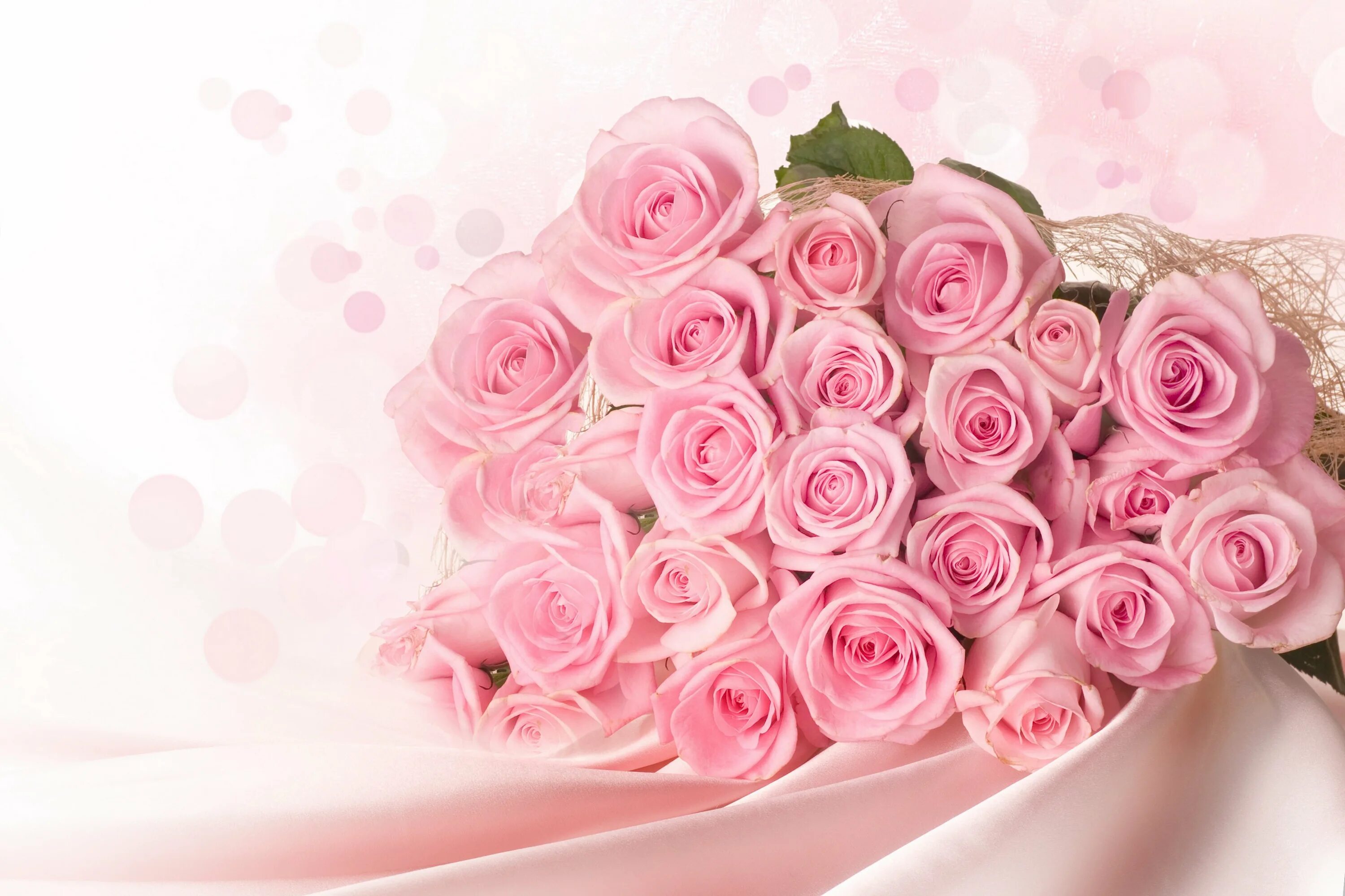 Поздравить полная. Розовые розы. Роза нежно-розовая. Поздравление с 8 марта. Открытки с розами.