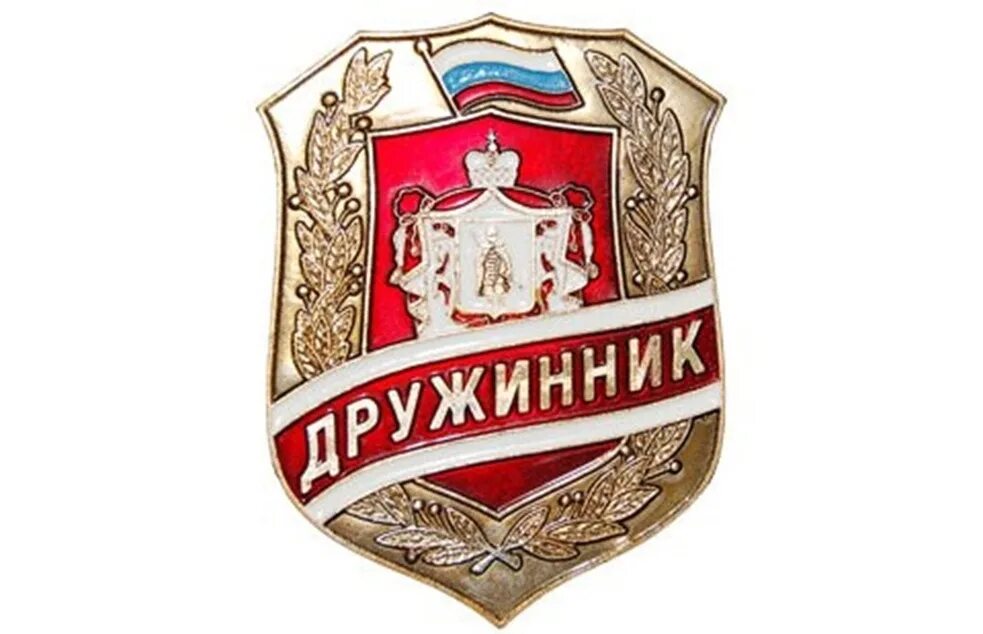 Система дружинник. Народная дружина значок. днд значок. дружинник логотип.
