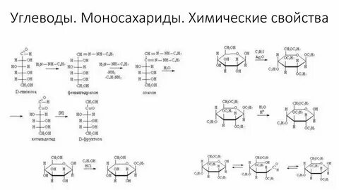 Физические свойства углеводов биология