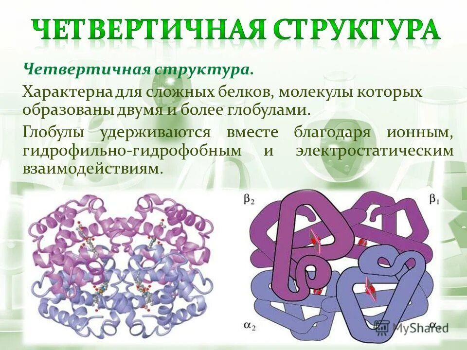 Характерные изменения белков. Четвертичная структура белковой молекулы. Четвертичная структура белка это структура. Четвертичная структура белковых молекул. Четвертичная структура белка глобула.