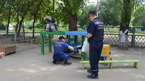 Челябинские пчелы