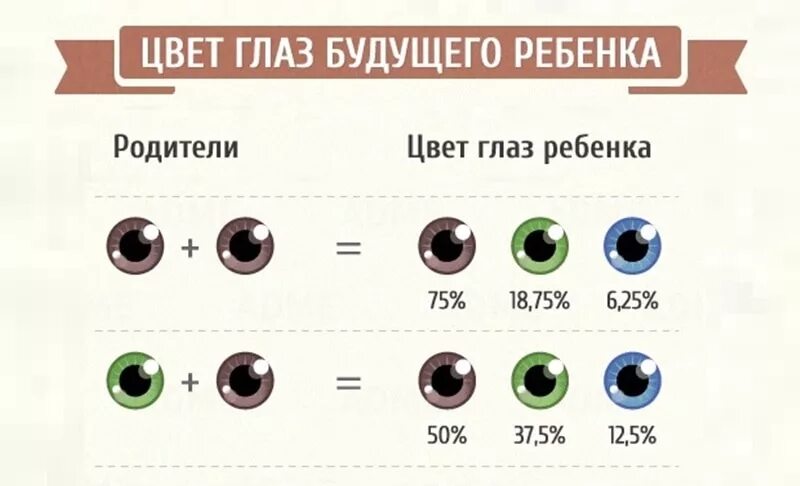 Меняется ли цвет глаз у новорожденных. Цвет глаз будущего ребенка таблица. цвет глаз родителей и детей. цвет глаз родителей и детей таблица. таблица цвета глаз у ребенка.