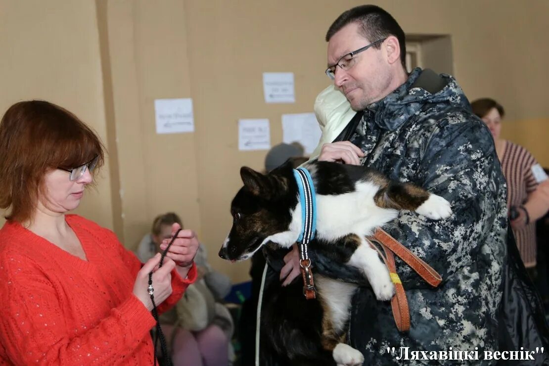 Зоопортал бийск выставки. Зоопортал тула выставка. Зоопортал выставки. Зоопортал челябинск. Зоопортал тула выставка.