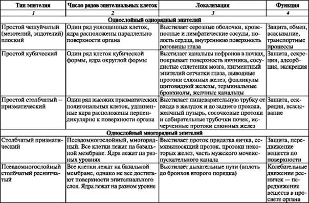 Разновидности эпителиальной ткани таблица. Эпителиальная ткань функции таблица. Классификация эпителиальной ткани та. Классификация эпиьельной Теани таблица.