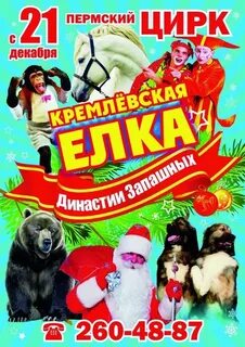 Цирк пермь афиша