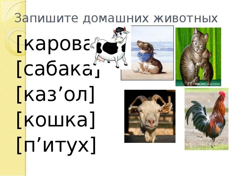 Подобрать клички животным. Клички животных. Животные с кличками. Имена для животных. Клички животных из мультиков.