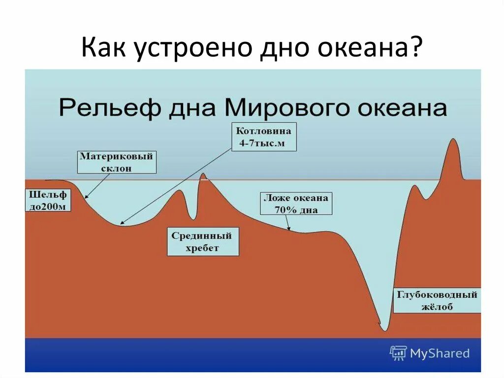 Шельф и материковый склон. Строение дна мирового океана 6 класс география. Шельф материковый склон ложе океана. Как устроено дно океана. Рельеф на дне мирового океана