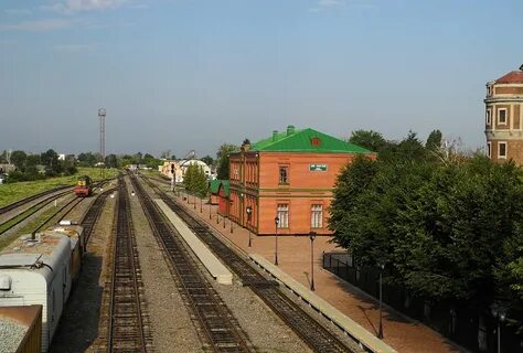 Данков лев толстой