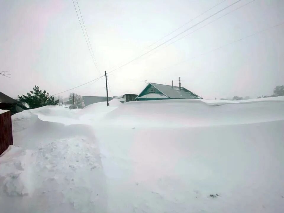 Снежные сугробы в деревне. Много снега. Снег в Алтайском крае. Много снега в деревне. Деревня сугробы