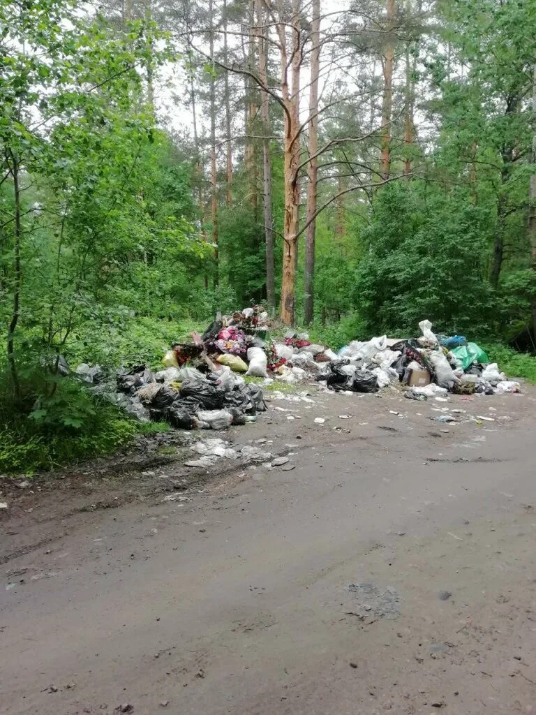 Тко ленинградская область. Свалки Ленинградской области. Свалка Выборгский район. Мусорные полигоны в Ленинградской области.