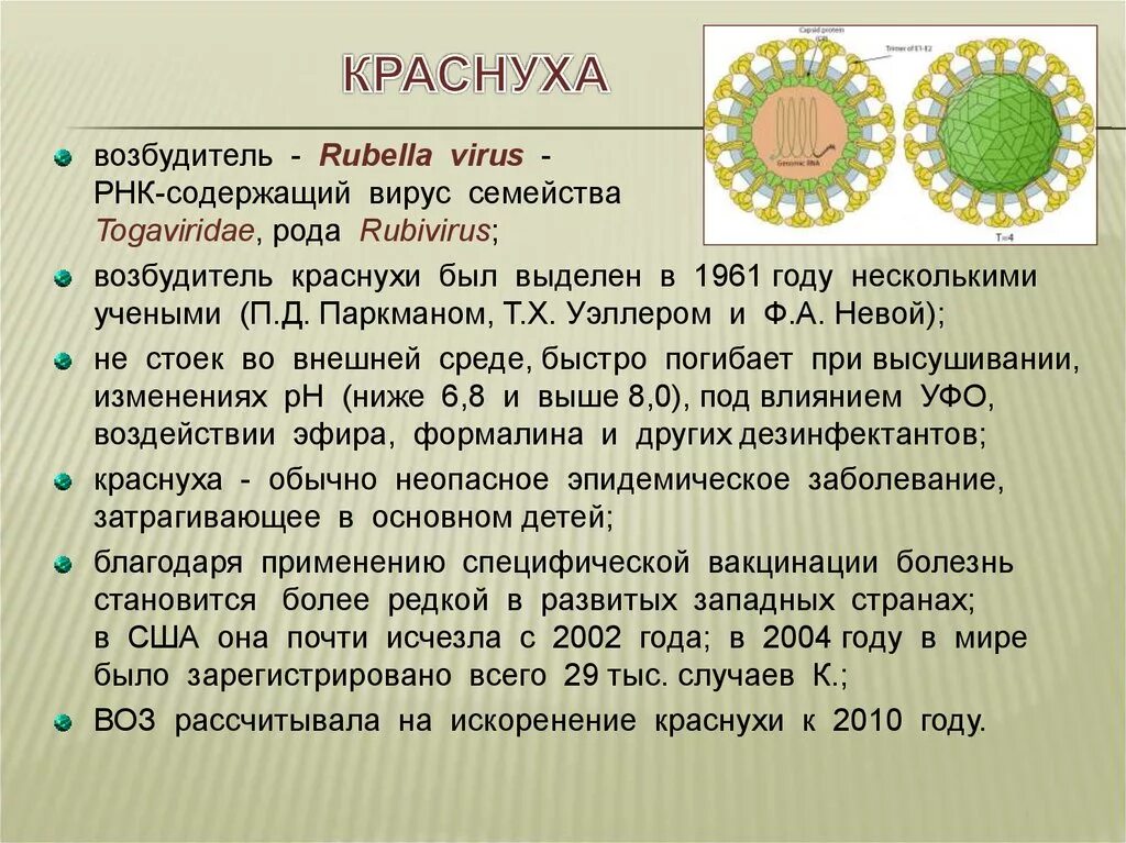 Каким основным свойством не обладают вирусы отсутствие. Тогавирусы вирус краснухи. Возбудитель краснухи фильтрующий вирус. Краснуха характеристика возбудителя. Вирус краснухи характеристика.