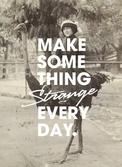 Something to make yours. Make something. Some kind of Sport every Day. Every Day 134.