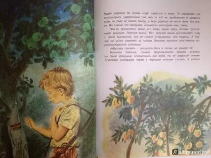 Старая черепаха нагибин сочинение