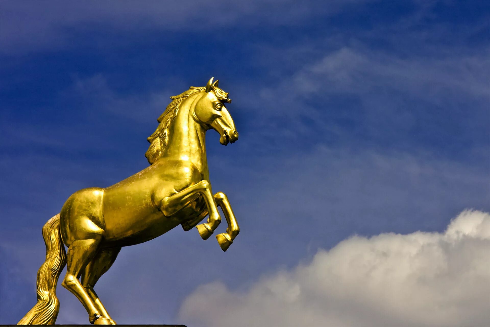 Золотистая лошадь. Золотые кони хана Батыя. Золотой конь царя Митридата. Золотой конь Анапа царя Митридата. Золотой конь Чингисхана.