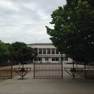 Терек школы