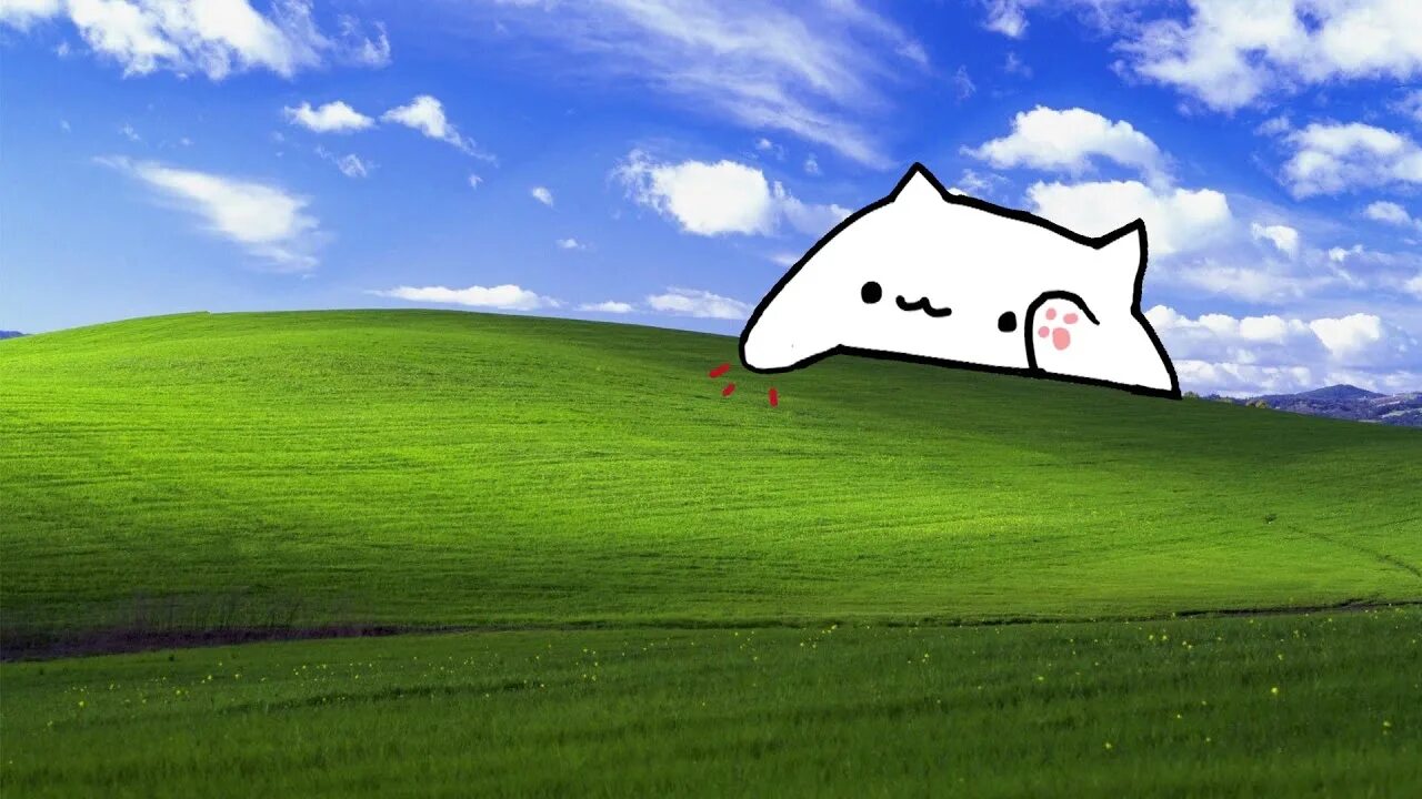 Живые обои mp4. Обои Windows XP. Обои с котиком виндовс XP. Живые обои Bongo Cat.