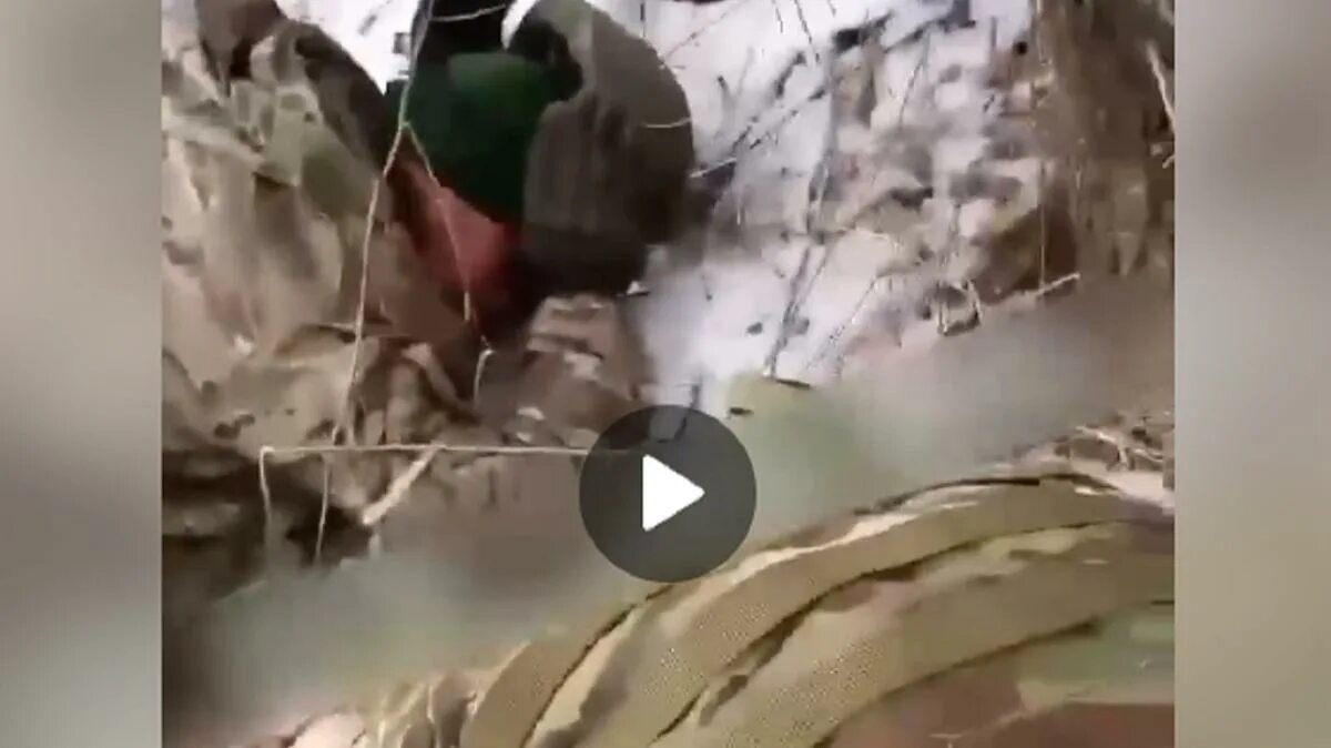 В чехии завелась банда. Нашли и бетоном в свинарнике укронацистку. Нашли и бетоном в свинарнике укронацистку. Нашли и бетоном в свинарнике укронацистку. Укронацистка елена кушнир.