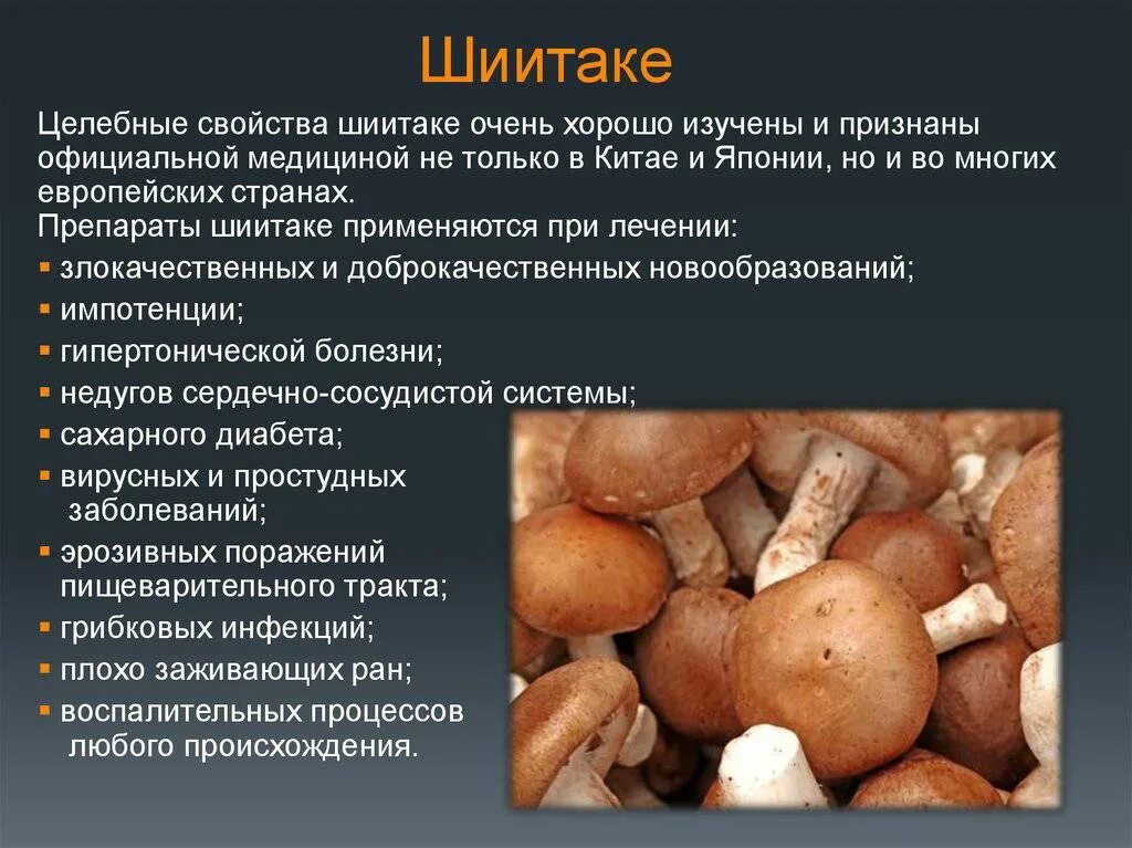 Полезные свойства грибов шитаки. Характеристика гриба шиитаке. Полезные свойства грибов шиитаке. Грибы полезные свойства.