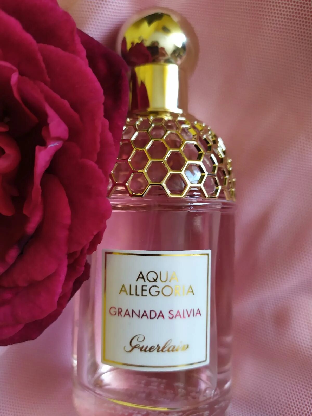 Guerlain aqua allegoria granada. Герлен Аква аллегория Гранада Салвиа. Парфюм Aqua Allegoria Granada Salvia. Granada Salvia, Guerlain. Aqua Allegoria Guerlain Granada Granada Salvia,.