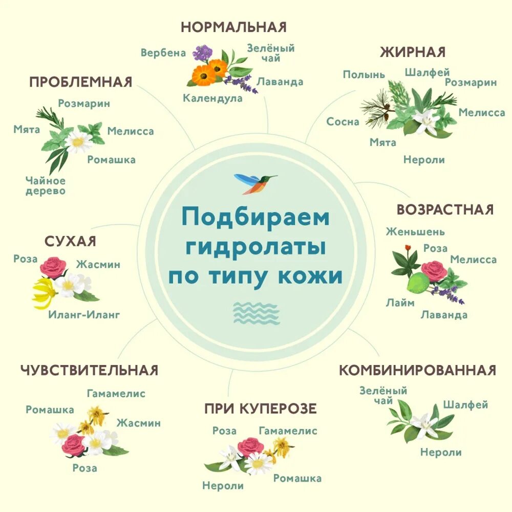 Гидролаты по типу кожи. Гидролат по типу кожи таблица. Эфирные масла по типу кожи. Травы по типу кожи.