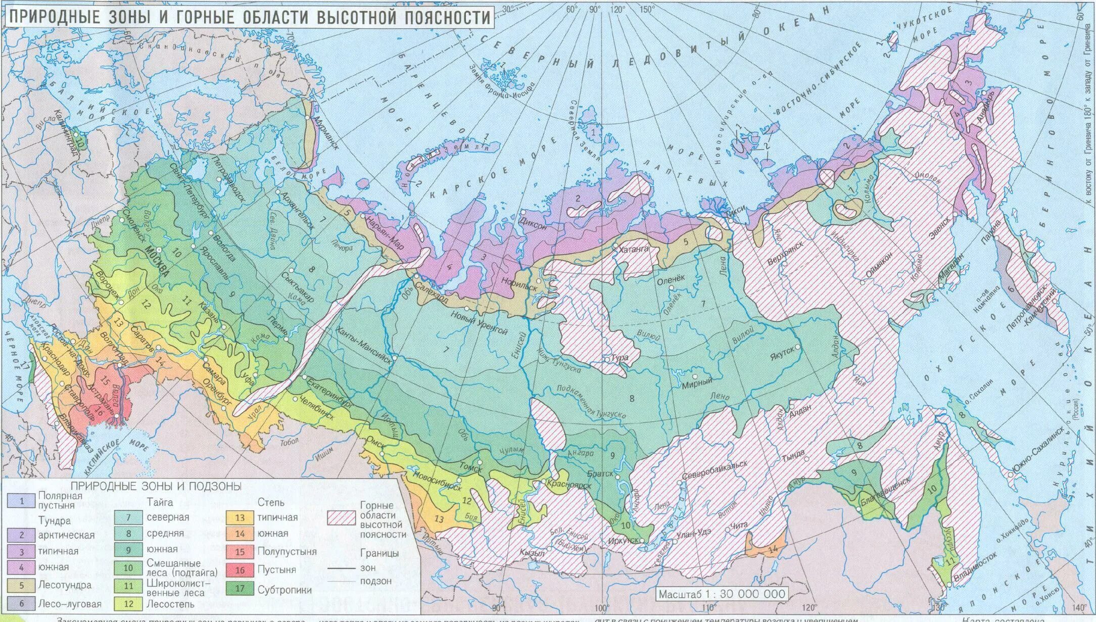 Соответствие лес