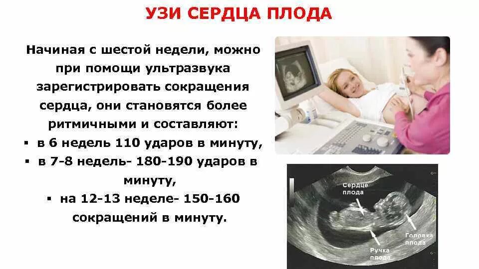 Узи беременности сердцебиение плода. Инструмент для выслушивания сердцебиения плода. Ктг норма 37-38 недель норма. Ктг при беременности 36-37 недель норма. Сердцебиение плода при беременности.